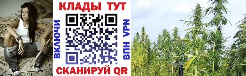 Где купить наркоту Тюкалинск Псилоцибиновые грибы Гашиш МЕТАМФЕТАМИН А ПВП Бошки Шишки