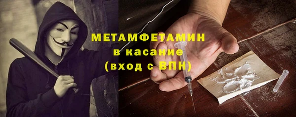 сатива Новодвинск
