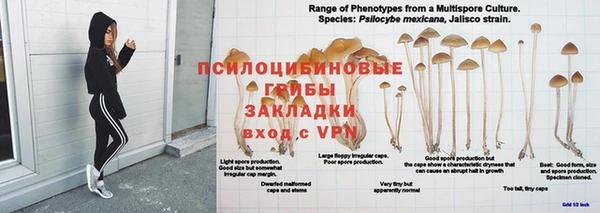 экстази Новозыбков