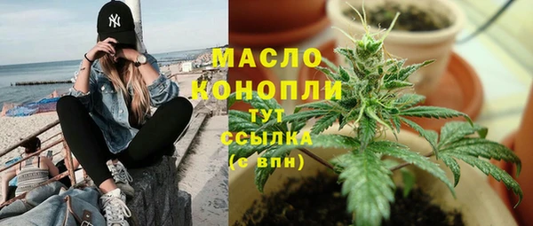 сатива Новодвинск