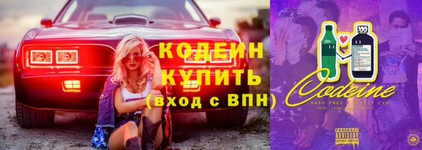 сатива Новодвинск