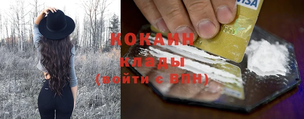 сатива Новодвинск